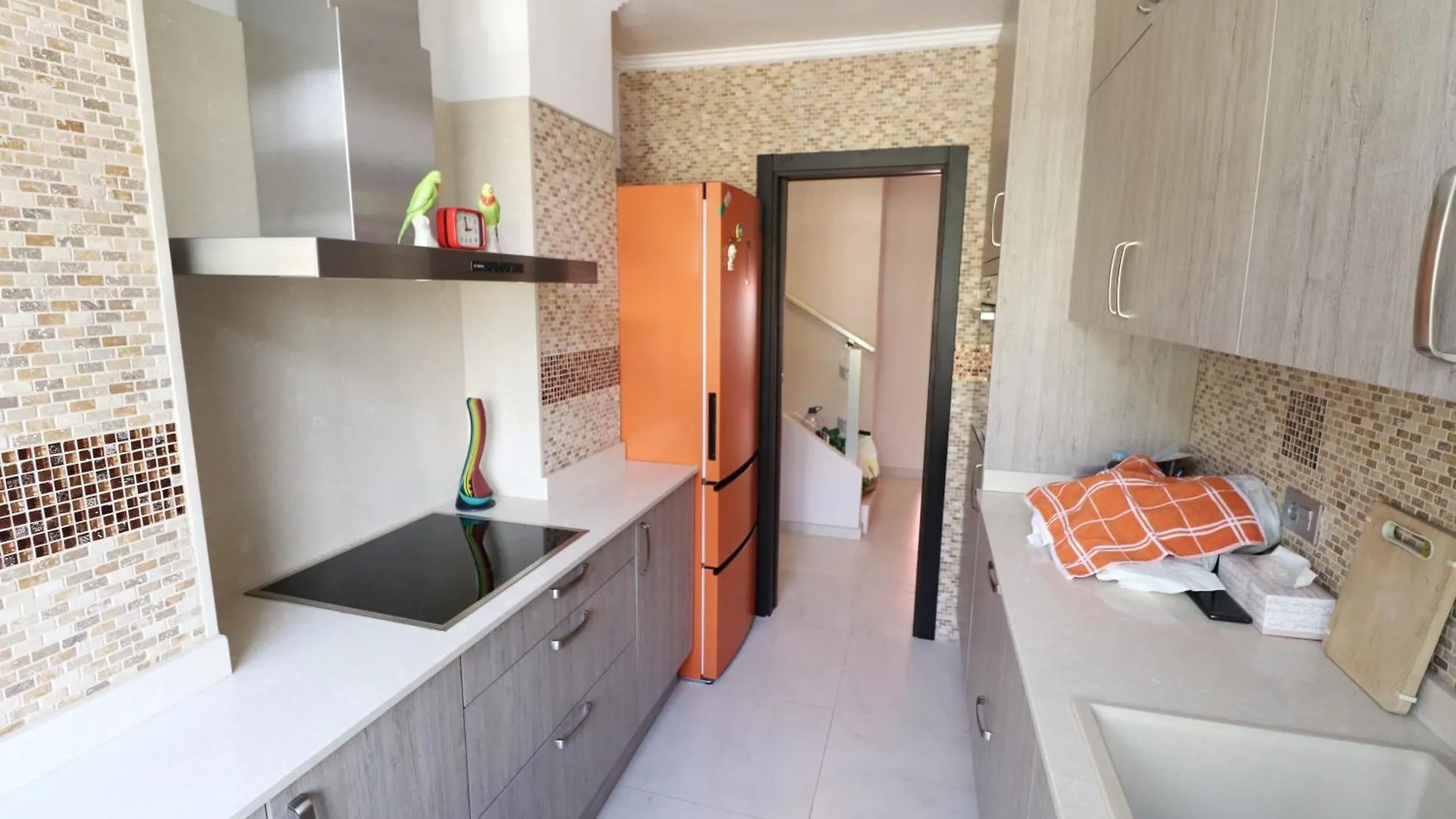 Apartment El Paso By Tenerife Rental & Sales Playa de las Americas  Spain