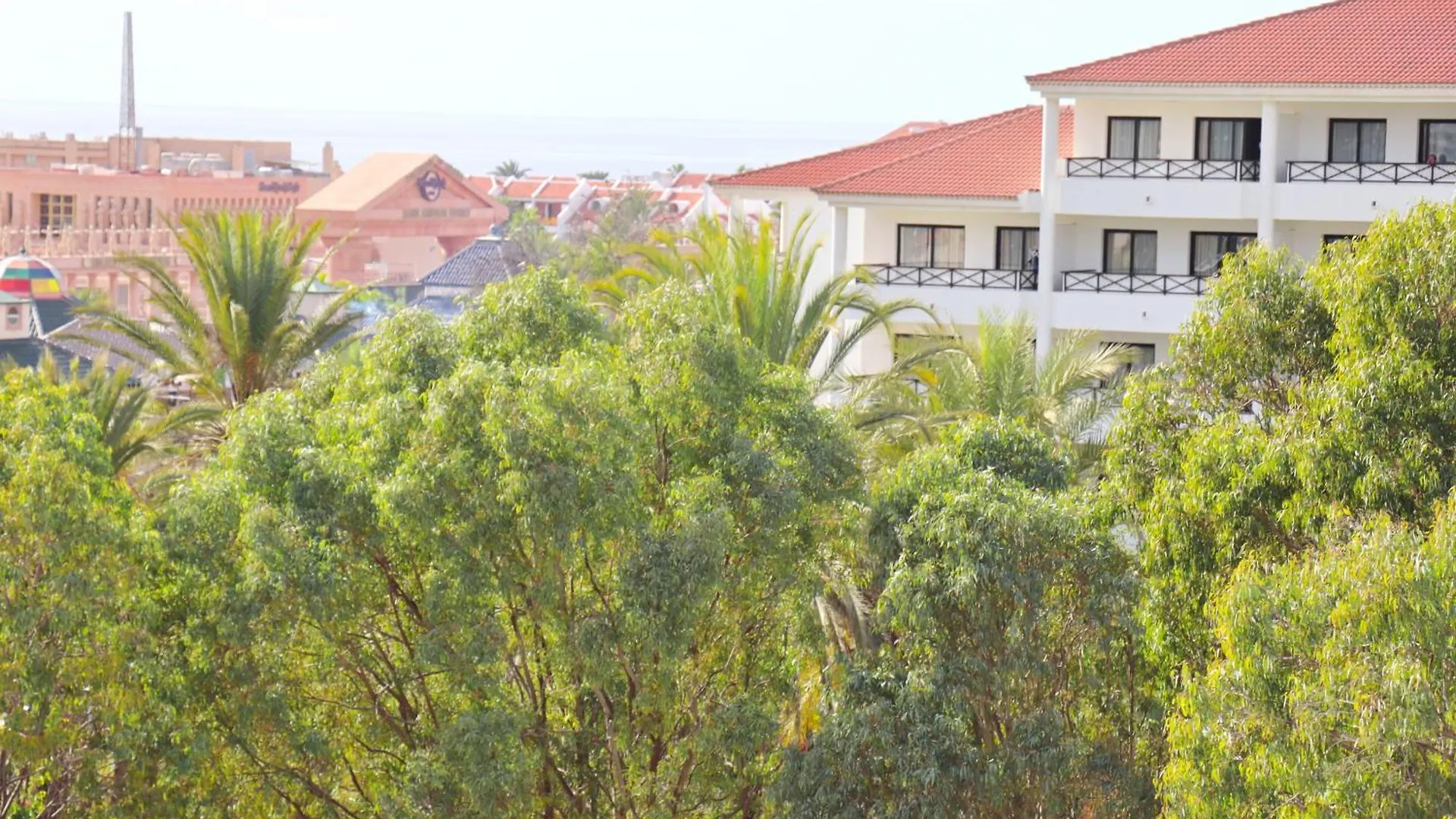 El Paso By Tenerife Rental & Sales Playa de las Americas